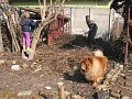 20120330_Acasa_Primavara (66)